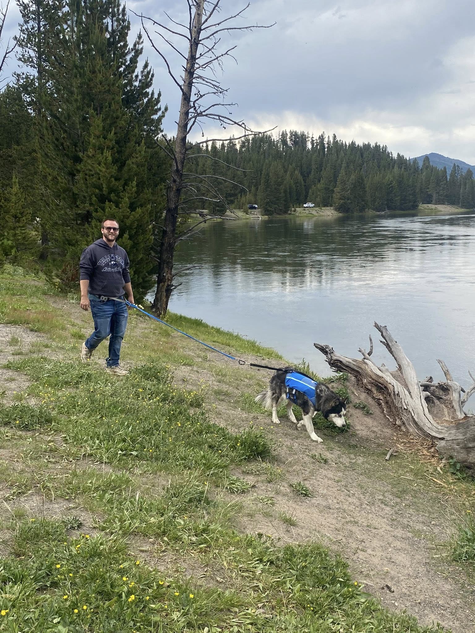 Freelance web developer walking a husky with Yellowstone Lake and mountains in the background.